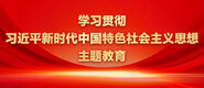 尻女人逼视频免费看学习贯彻习近平新时代中国特色社会主义思想主题教育_fororder_ad-371X160(2)